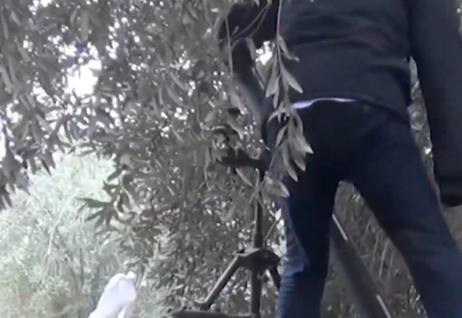 يده مبتورة... "مقاوم" يطلق القذائف بِيَدٍ واحدة ويثير التفاعل! (فيديو)