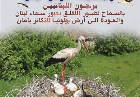 جمعية الارض وزعت بيانا لسفير بولونيا عن طيور اللقلاق