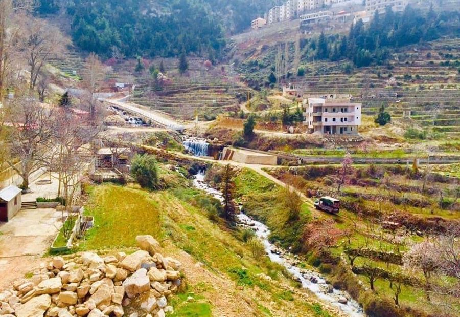 إطلاق نار وهلع... إشكال على خلفية مستهجنة!