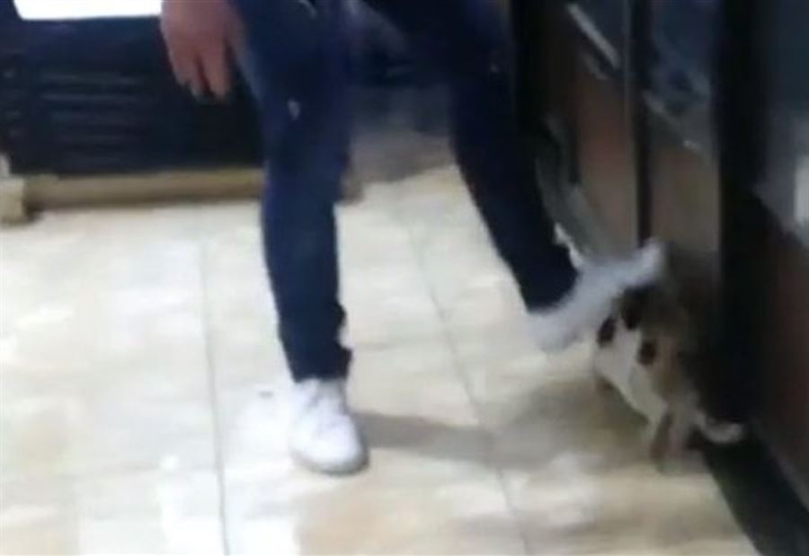 بالصورة: بعد اعتدائه على هرة في عكار... هذا مصيره! بالصورة: بعد اعتدائه على هرة في عكار... هذا مصيره!