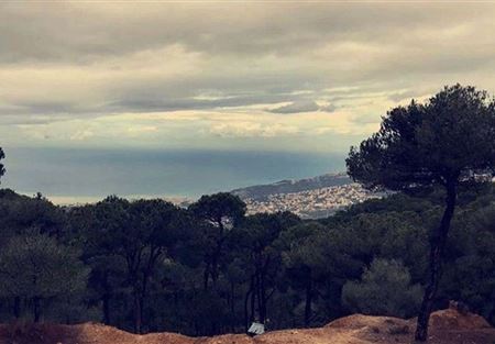 طقس متقلب بدءاً من يوم غد الأحد