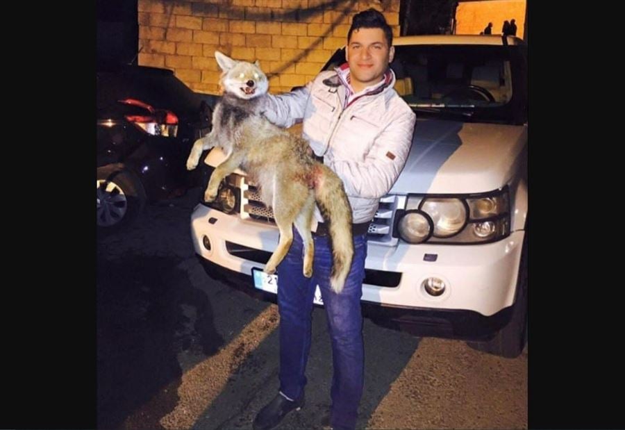 3 روايات لـ "سفاح" أنصار... "فكّ اللغز" خلال 24 ساعة؟!