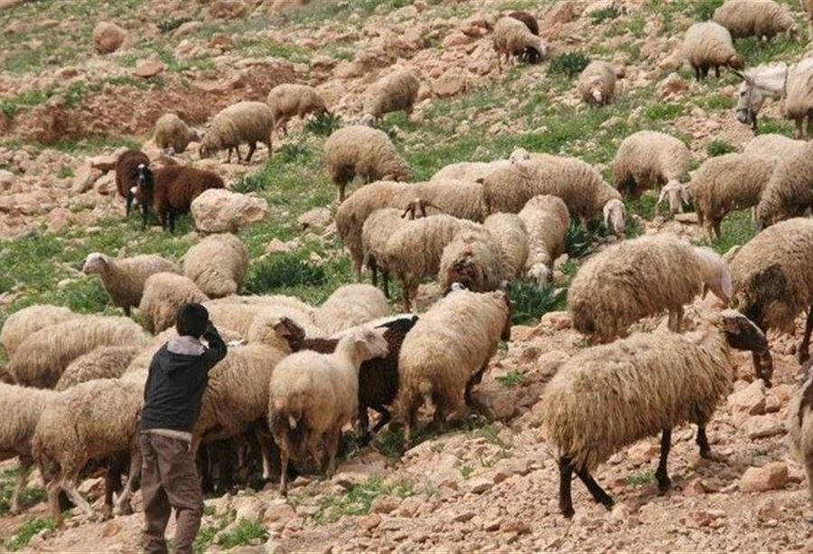 في حاصبيا... دوريّة إسرائيليّة أطلقت النار بإتجاه راعٍ!