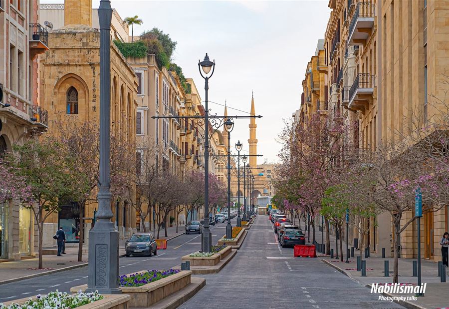 "في لبنان زعيمان"... "نصرالله وشيا" 