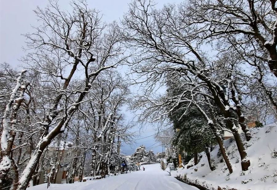إلَيْكُم حال الطرقات الجبلية صباح اليوم 