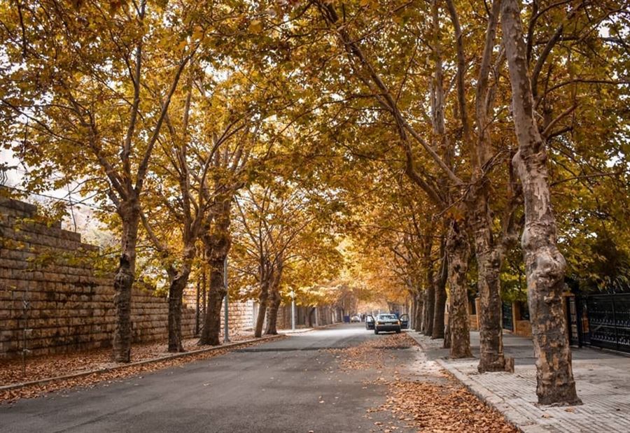 طقسٌ خريفيٌ... والأمطارُ عائدة طقسٌ خريفيٌ... والأمطارُ عائدة