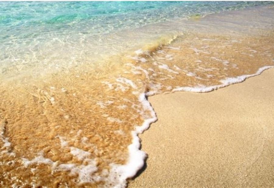 جثّة على شاطئ أنفه جثّة على شاطئ أنفه