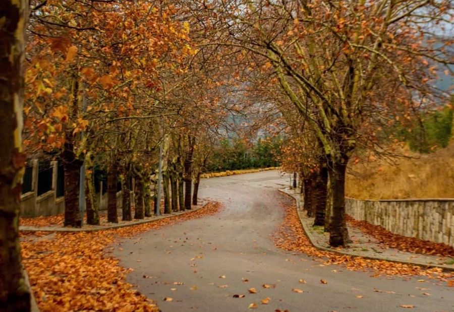 برق ورعد... لبنان تحت تأثير منخفض جوي برق ورعد... لبنان تحت تأثير منخفض جوي