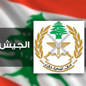 توقيف 14 سوريا في تل الابيض