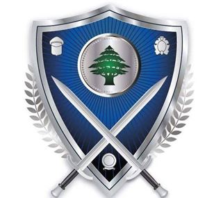 الداخلية: الجنوبيون ينتخبون نائبا جديدا لدائرة جزين ولـ263 بلدية