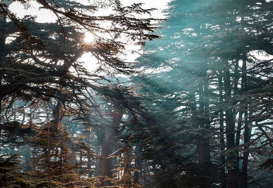 لبنان على موعد مع موجة حرّ جديدة  لبنان على موعد مع موجة حرّ جديدة
