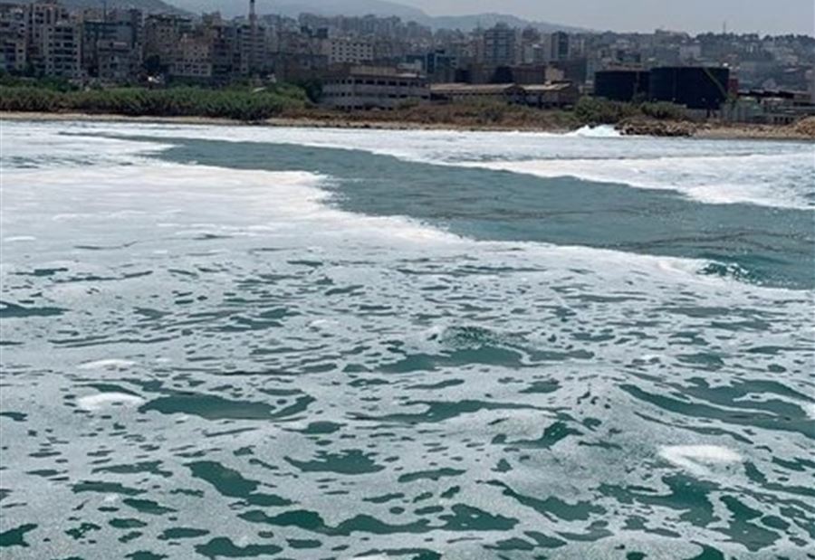 بالفيديو والصور: فضيحة بيئية في بحر "الذوق"