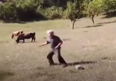 بالفيديو: "هلع" مزارع تركي يرى الـ"درون" أول مرة