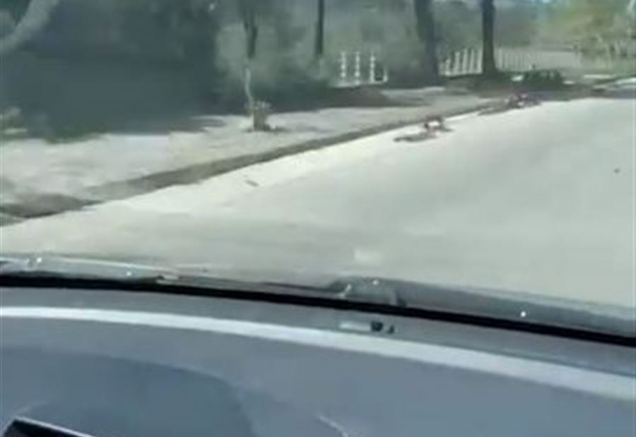 بالفيديو: إطلاق نار على سيارة تابعة لقناة الميادين! بالفيديو: إطلاق نار على سيارة تابعة لقناة الميادين!