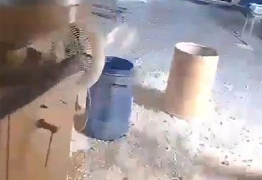 في أحد قصورهم... فيديو يفضح تورط عائلة الأسد في إنتاج الكبتاغون