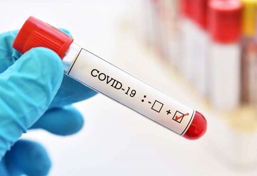 حارة صيدا... 5 حالات جديدة بـ"كورونا" حارة صيدا... 5 حالات جديدة بـ"كورونا"