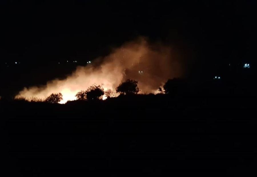 الحرائق تلتهم أحراجًا في البترون الحرائق تلتهم أحراجًا في البترون