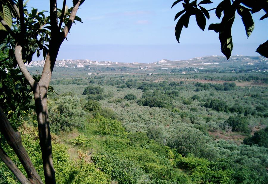 مخالفة "فاضحة" في بصرما... ومطالبة بإيقاف الأعمال فوراً! 