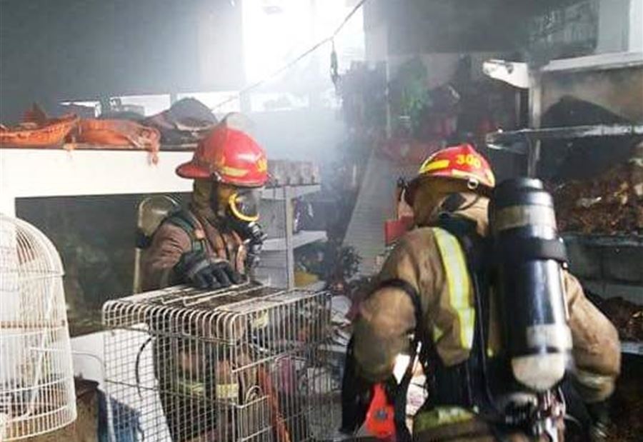 بالصور: إخماد حريق في محل لبيع الحيوانات في جونية