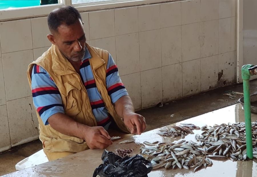 في غياب اللحمة... كفتة بدجاج ومحاشي بالسمك! في غياب اللحمة... كفتة بدجاج ومحاشي بالسمك!