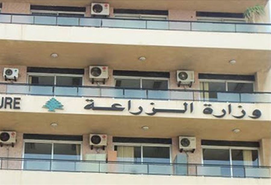 تعميمٌ من "الزراعة" للحصول على بذور القمح الطري