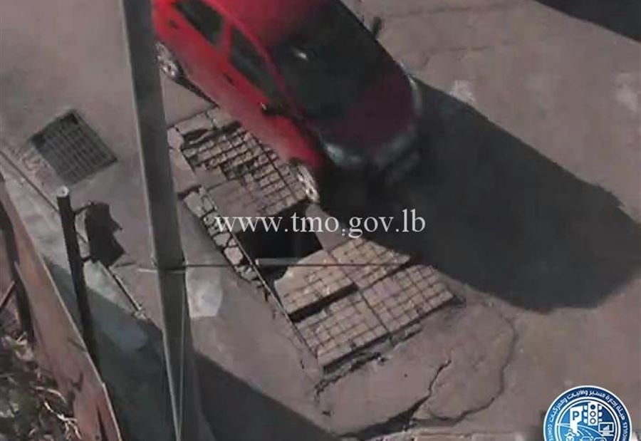 بالصورة: احذروا "ريغار الصيفي"
