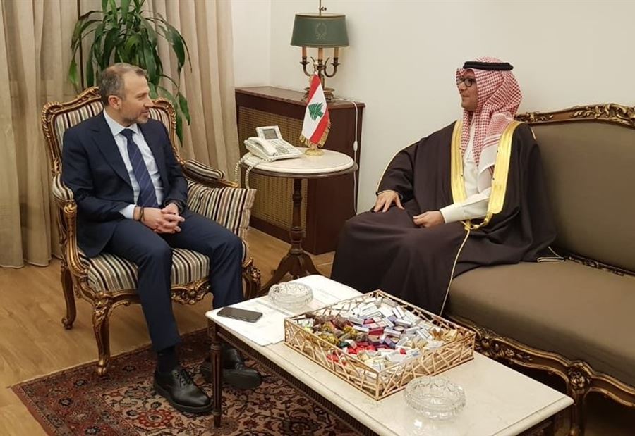 باسيل: سنقوم بكل ما يلزم من أجل تشجيع السعوديين على العودة