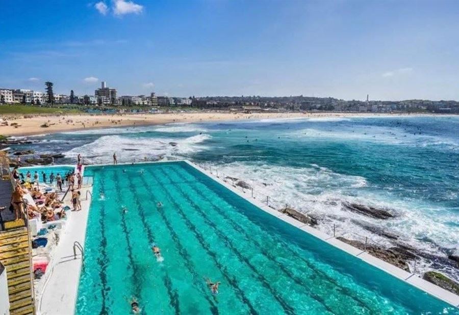 بعد "غزو" قناديل البحر... القلق يُسيطر على اللّبنانيين!