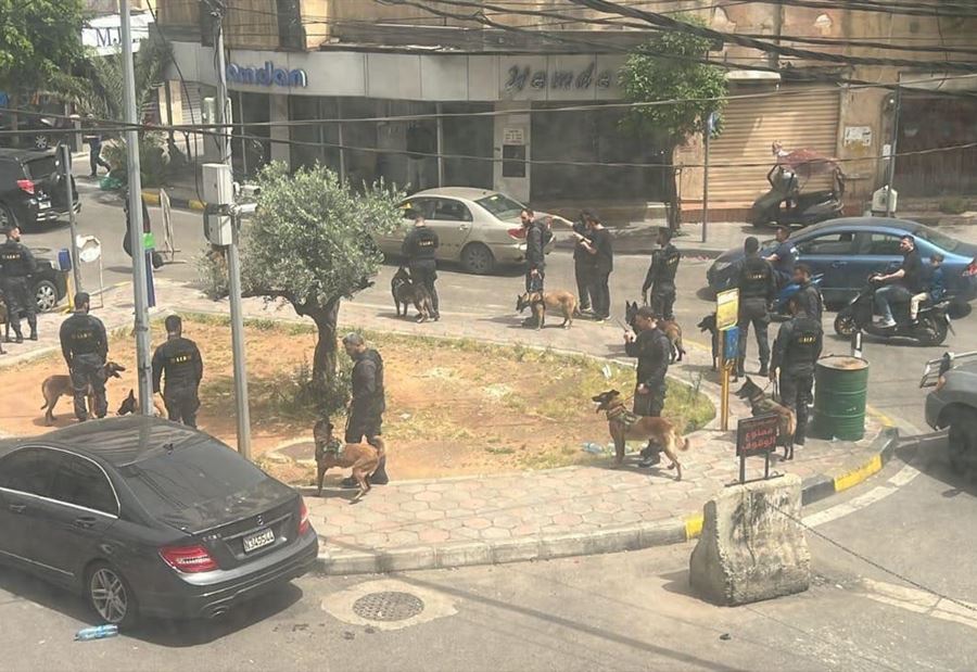 كلاب بوليسية وانتشار أمني... ماذا يجري في الضاحية؟ كلاب بوليسية وانتشار أمني... ماذا يجري في الضاحية؟
