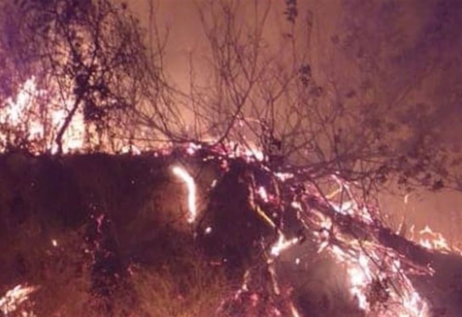 بالوثائق: "إدارة الكوارث" تُحذر من "خطر الحرائق" بالوثائق: "إدارة الكوارث" تُحذر من "خطر الحرائق"