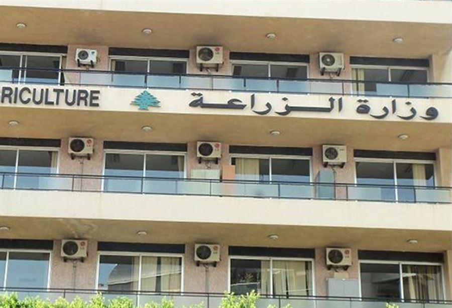 في مرفأ طرابلس... الكشف على باخرة تحمل البطاطا المصرية