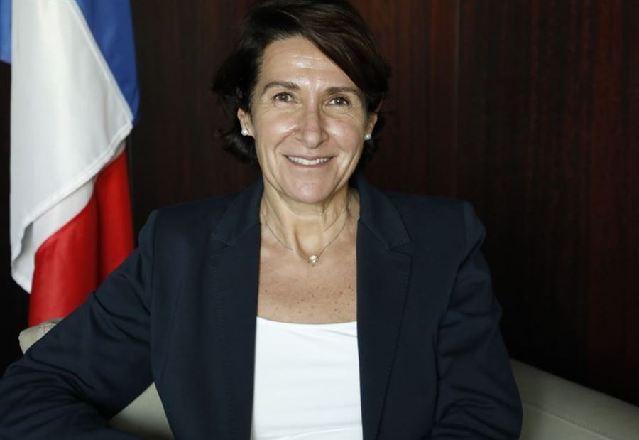 "لقاءان مع آن غريو في بيروت"... السفارة الإيرانية توضح!