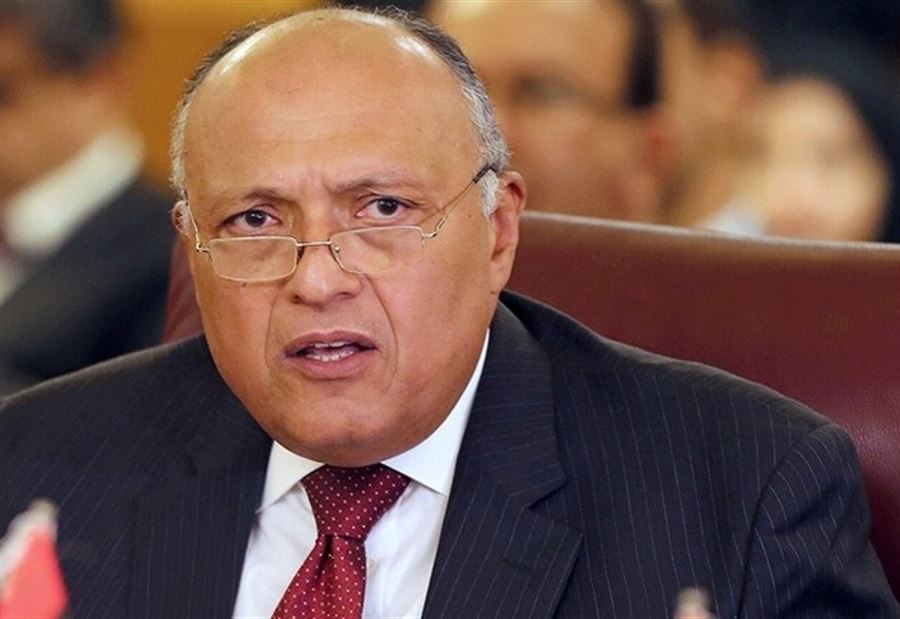 وزير الخارجية المصري يكشف عن آخر تطورات المصالحة مع قطر