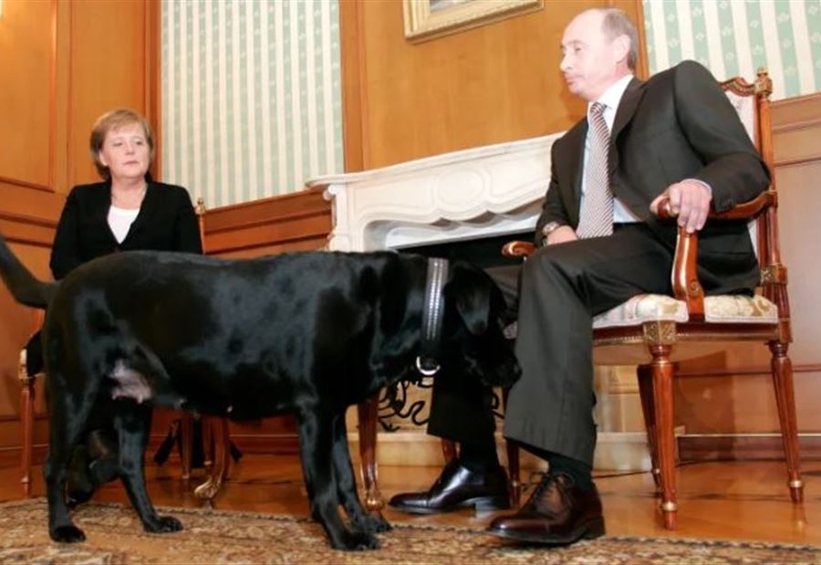 "الصورة الشهيرة"... ميركل تكشف حقيقة حادثة "الكلب الأسود" مع بوتين "الصورة الشهيرة"... ميركل تكشف حقيقة حادثة "الكلب الأسود" مع بوتين