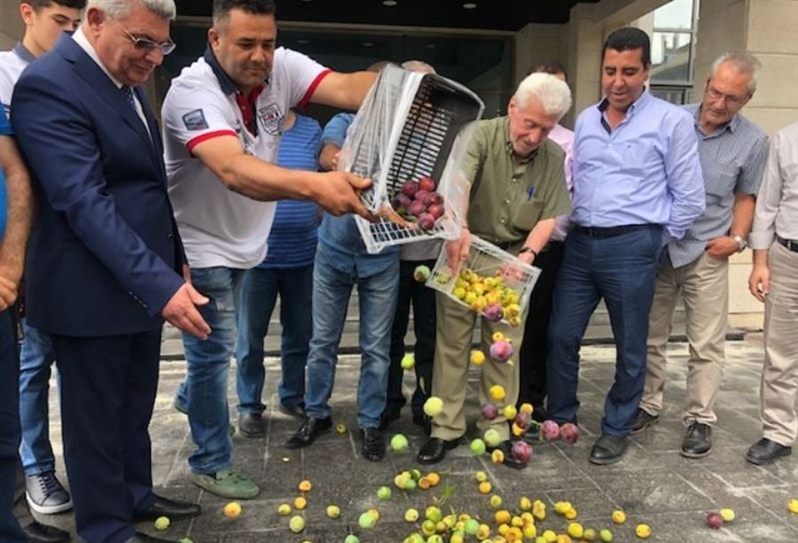 بلديات ومزارعو الضنية : لتعويضنا عن اضرار موجة البرد