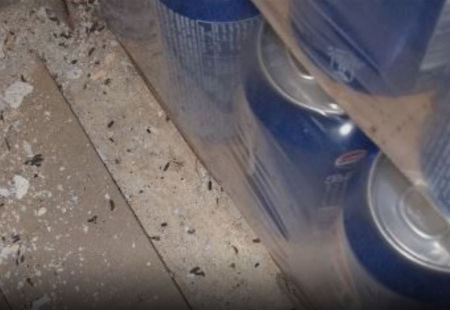 منتهية الصلاحية وبعر فئران: محضرا ضبط ضد مطعمين في الجنوب