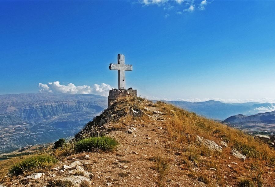 نَعَيقٌ مِن بيت بزّاقَة