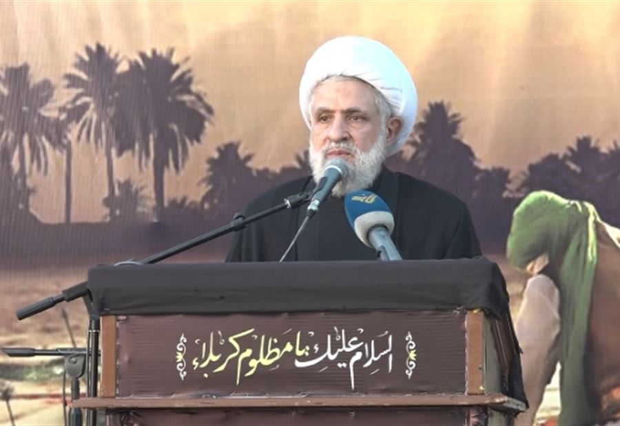 نعيم قاسم: هذا مشهد جيّد! 