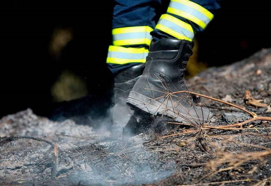 عشرات الحرائق تجتاح الشمال الإسباني عشرات الحرائق تجتاح الشمال الإسباني