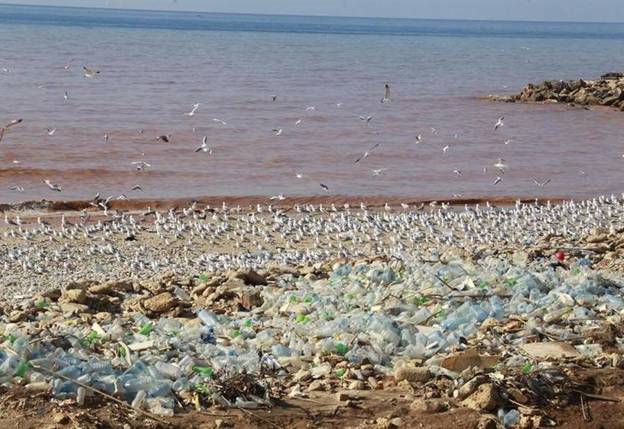 "كوستابرافا" لن يستقبل إلا نفايات الضاحية والشويفات