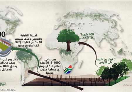  3 تريليونات شجرة على الأرض