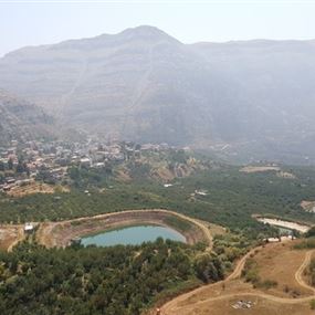 مناشدة من اميركا للتحقيق في احتيال وتزوير بـ "العاقورة"