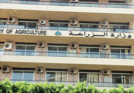 وزارة الزراعة: للتحسب من مخاطر العاصفة الثلجية المقبلة