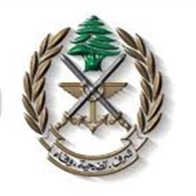 الجيش: تفجير ذخائر في محيط بلدة البرج الشمالي 