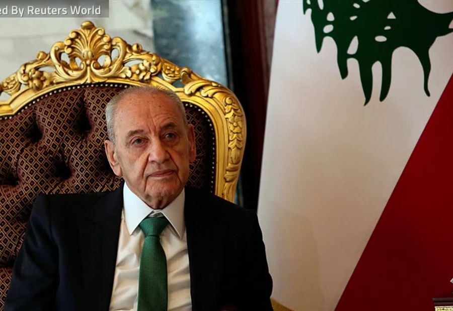 أرنبُ برِّي القضائيّ ولِدَ ميتاً
