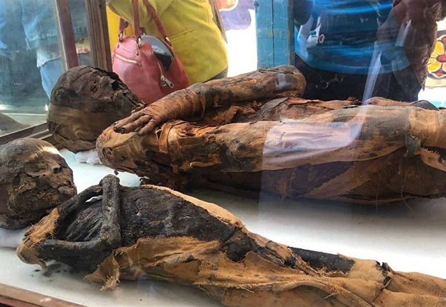 بالصور: الكشف عن مقبرة في مصر تعود إلى العصر البطلمي!