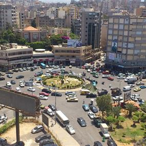 حملة لمكافحة البرغش والبعوض في طرابلس