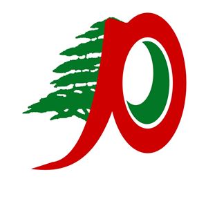 الأيوبي: لم يعد جائزا انتظار تعيين وزير دولة لكي تتشكل الحكومة