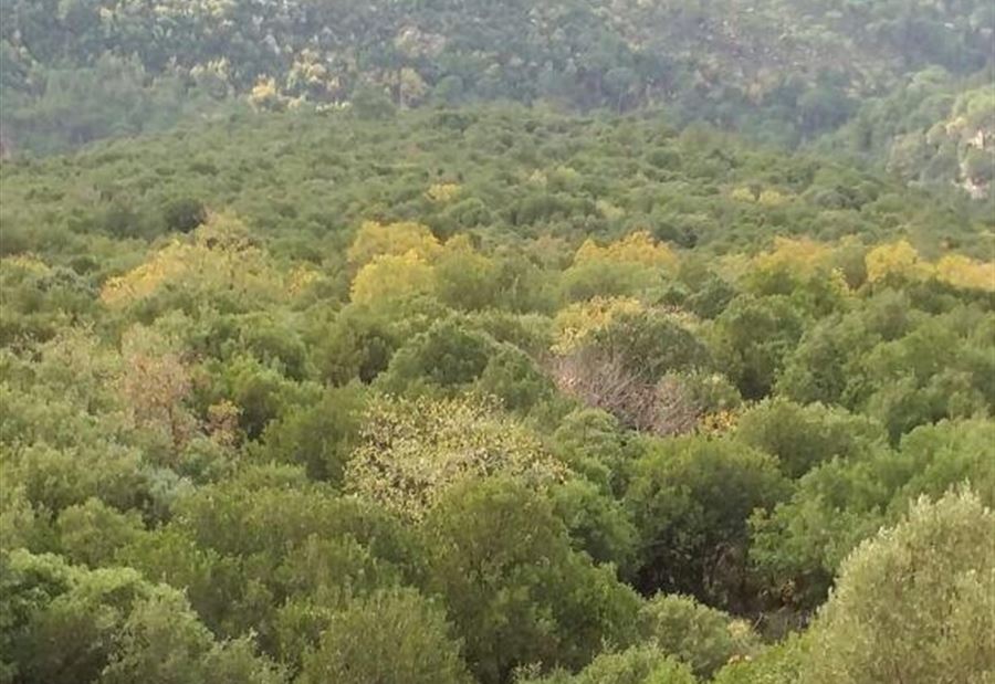 "شورى الدولة" ينتصر مجدداً لبلدة المتين وبيئتها