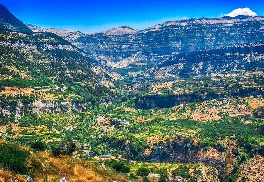 هدم منازل بالقوة... ماذا يحصل في أفقا؟ هدم منازل بالقوة... ماذا يحصل في أفقا؟